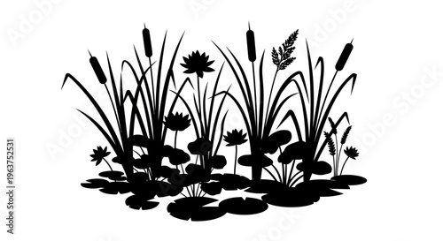 Black silhouette of aquatic plants.