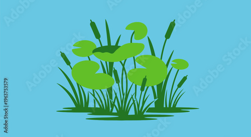 Green aquatic plants and lily pads.