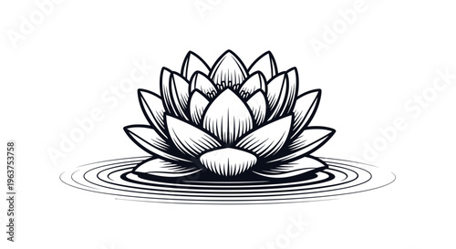 Black and white lotus flower drawing.
