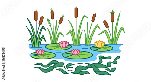 Water Lilies on Pond Surface Calm.