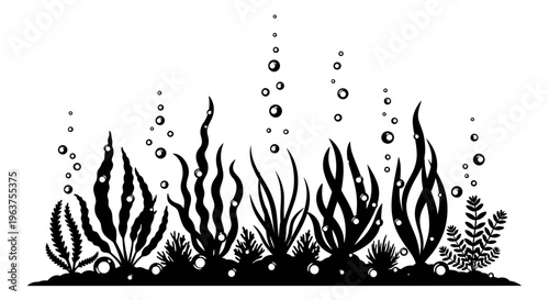 Underwater Seaweed Silhouette Ocean Floor.