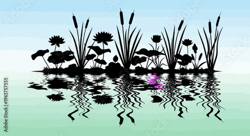 Black silhouette of aquatic plants.