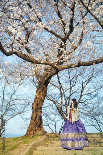 벚꽃 사이에서 한복을 입은 여성의 봄 감성 초상