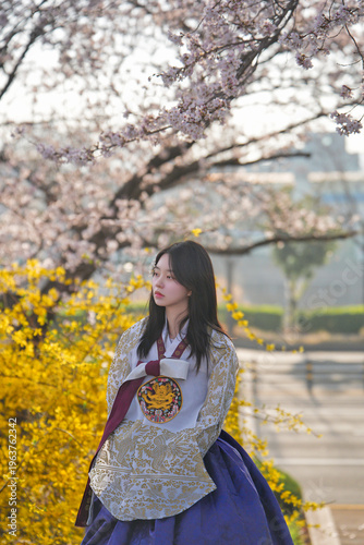 벚꽃 사이에서 한복을 입은 여성의 봄 감성 초상