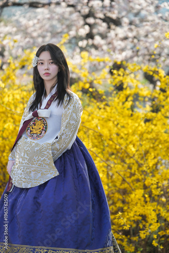 벚꽃 사이에서 한복을 입은 여성의 봄 감성 초상