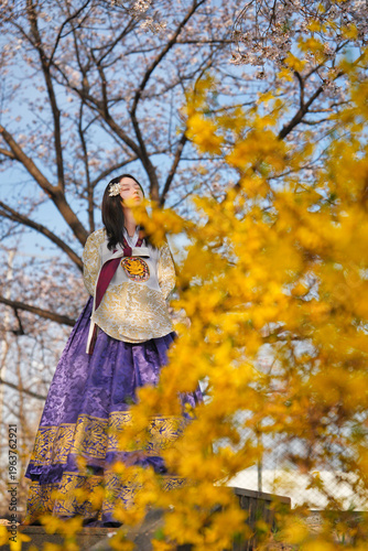 벚꽃 사이에서 한복을 입은 여성의 봄 감성 초상