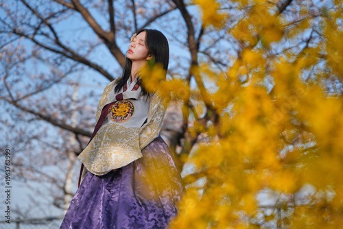 벚꽃 사이에서 한복을 입은 여성의 봄 감성 초상