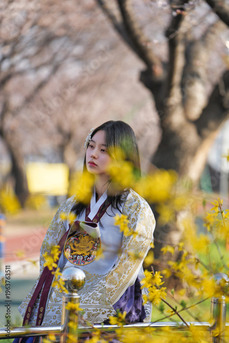 벚꽃 사이에서 한복을 입은 여성의 봄 감성 초상