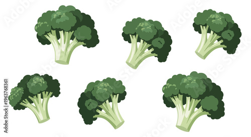 ,Broccoli heads arranged in a pattern against a white background.,"