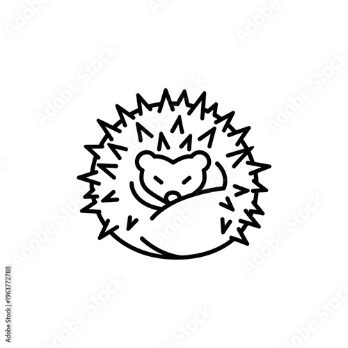 Simple line art illustration of a cute hedgehog curled up in a ball.