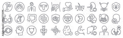 Set of 30 human organ minimal thin line web icons including brain, heart, liver, kidney, stoh, lung, intestine, thyroid, bone, blood and anatomy symbols in editable vector format
