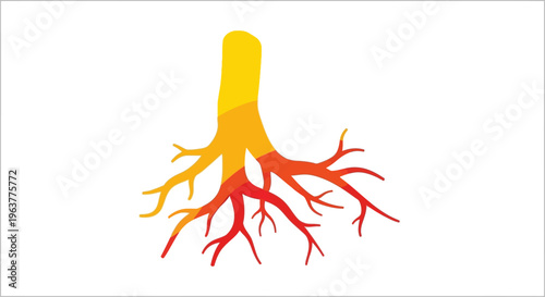 Colorful illustration of branching tubes.