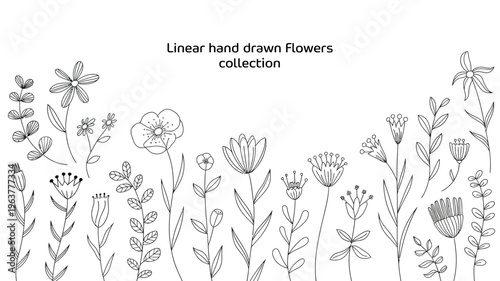 A collection of delicately drawn linear flowers and botanical elements arranged across a white background showcasing a hand drawn style high quality professional detailed modern elegant