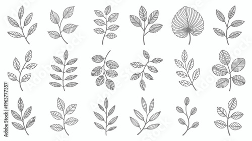 A collection of delicately drawn leaves featuring various shapes and sizes presented in a minimalist black and white illustration high quality professional detailed modern elegant stylish