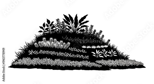 Detailed illustration of various plants.