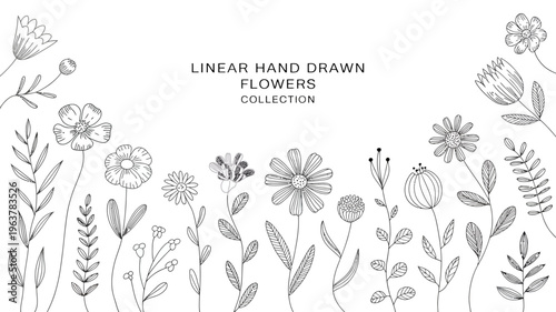 A collection of delicate hand drawn floral illustrations showcases various flower types and leafy stems in a minimalist black and white style high quality professional detailed