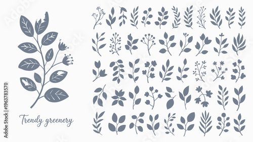 A watercolor illustration displays a collection of various botanical elements including leaves stems and small floral accents high quality professional detailed modern elegant stylish clean crisp