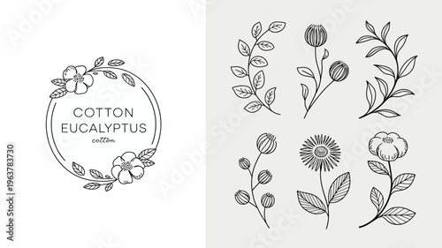 A delicate botanical illustration features cotton and eucalyptus branches leaves and flowers arranged in a minimalist linear style high quality professional detailed modern elegant stylish clean