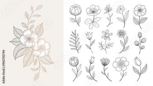 A collection of delicate floral illustrations showcases various blooming flowers and lush leaves in a sketched line art style high quality professional detailed modern elegant stylish