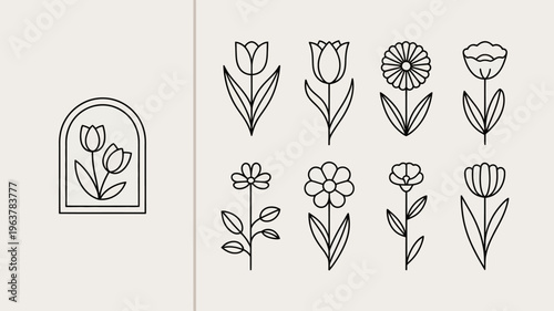 A collection of delicate minimalist line art floral illustrations featuring tulips daisies and other blossoms arranged on a light beige background high quality professional detailed modern