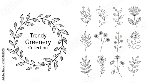A collection of delicate hand drawn botanical illustrations featuring various leaves stems and floral elements in black and white high quality professional detailed modern elegant stylish