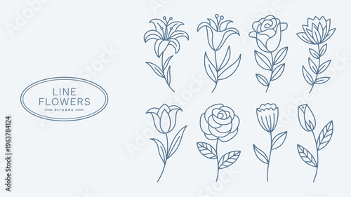 A collection of delicate hand drawn floral illustrations in a minimalist blue line art style arranged against a pale background high quality professional detailed modern elegant