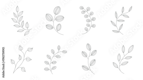 A collection of delicate hand drawn botanical illustrations featuring various leaf and branch arrangements in a minimalist style high quality professional detailed modern elegant stylish clean