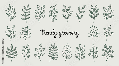 An assortment of hand drawn botanical illustrations featuring various leafy branches and sprigs with the text trendy greenery high quality professional detailed modern elegant stylish clean