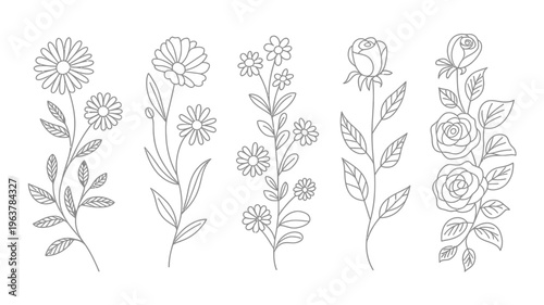 A collection of delicate floral line drawings showcases various blooms including daisies roses and smaller wildflowers all rendered in black and white high quality professional detailed