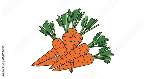 Fresh Carrots Bunch Vector Illustration on White Background