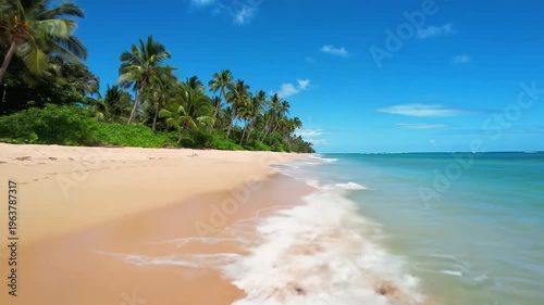 Wallpaper Mural Ultra-HD video of a pristine tropical beach, golden sand, turquoise ocean, gentle waves, lush palms under a bright blue sky. Smooth slider along water's edge. Idyllic tropical escape concept Torontodigital.ca