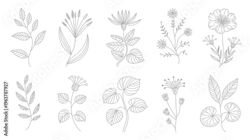 A collection of delicate hand drawn floral illustrations showcases various botanical elements in a minimalist black and white style high quality professional detailed modern elegant stylish