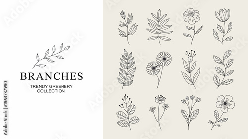 A collection of delicate hand drawn botanical illustrations featuring various branches leaves and blossoming flowers in a minimalist style high quality professional detailed modern elegant stylish