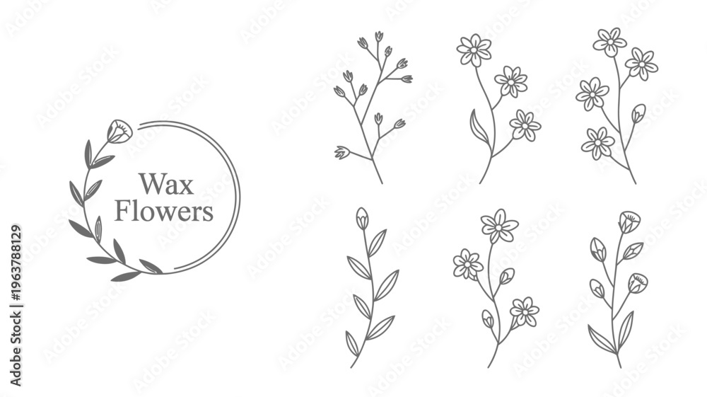 Fototapeta premium A delicate black and white illustration features several floral stems and branches arranged around a circular text element high quality professional detailed modern elegant stylish clean