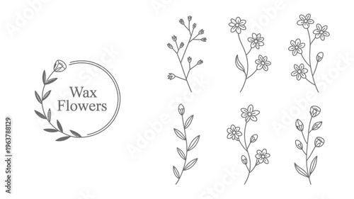 A delicate black and white illustration features several floral stems and branches arranged around a circular text element high quality professional detailed modern elegant stylish clean