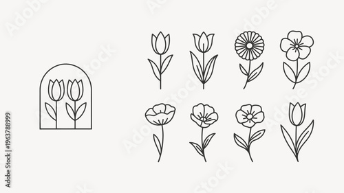 A collection of delicate linear floral illustrations featuring tulips daisies and poppies in black outlines on a neutral background high quality professional detailed modern elegant stylish