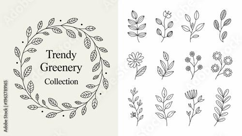 A collection of delicate hand drawn botanical illustrations featuring leafy branches floral sprigs and a circular wreath design high quality professional detailed modern elegant stylish clean