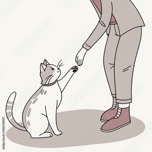 A cat extends its paw to connect with a person's hand during a quiet time together. The soft fur and gentle gesture show trust.