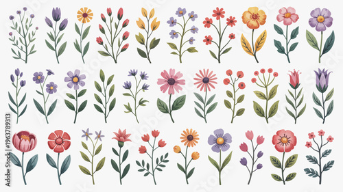 A colorful collection of watercolor floral illustrations showcases various wildflowers and blossoms arranged on a plain white background high quality professional detailed modern elegant stylish clean