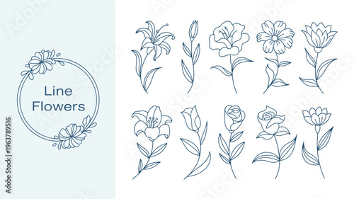 A collection of delicate hand drawn floral illustrations in a minimalist style featuring various flower types and a circular frame high quality professional detailed modern elegant