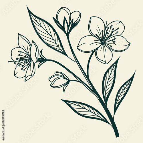 Hand-drawn flower with petals and leaves in dark green lines on a light background, expressing a minimalist botanical concept. Vector illustration