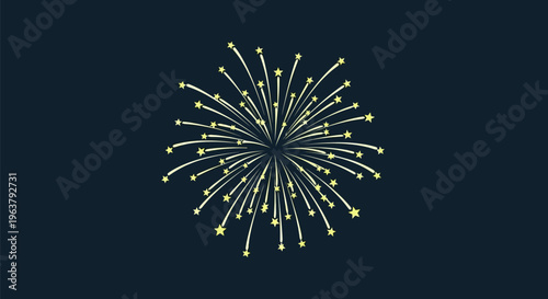 Fireworks Explosion in Dark Sky.