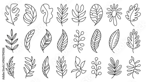 A collection of various hand drawn botanical leaf and floral outlines arranged on a plain white background showcasing diverse plant shapes high quality professional detailed modern