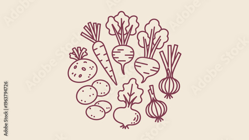 A circular arrangement displays various root vegetables and leafy greens in a simple hand drawn reddish brown line art style high quality professional detailed modern elegant