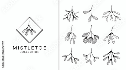 A collection of delicate mistletoe illustrations in black and white featuring both individual sprigs and a framed design high quality professional detailed modern elegant stylish clean