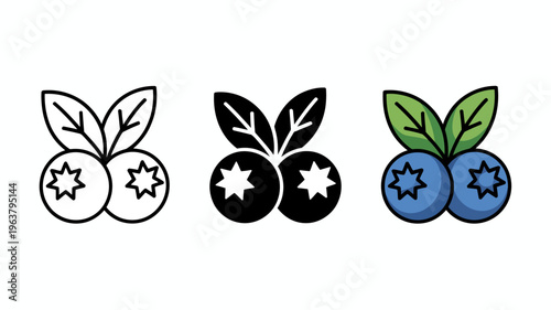 This image showcases three variations of blueberry illustrations including line art solid black and full color depictions with green leaves high quality professional detailed modern elegant