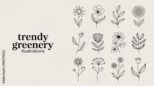 A collection of delicate hand drawn floral and leaf illustrations arranged in a grid with a minimalist aesthetic and neutral color palette high quality professional detailed