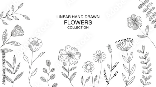 A collection of delicate hand drawn floral illustrations in black and white showcasing various flower types and leafy stems high quality professional detailed modern elegant stylish