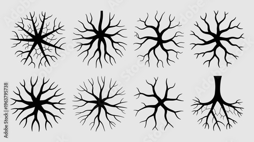 A collection of black branching shapes resembling tree roots or veins arranged in a grid against a light gray background high quality professional detailed modern elegant