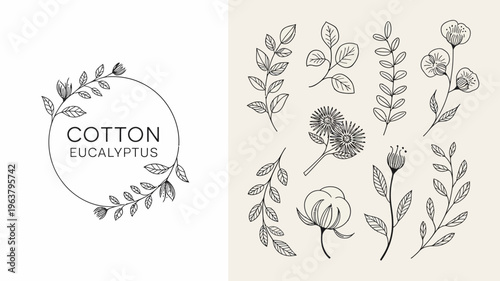 A delicate botanical illustration features line art of cotton and eucalyptus branches arranged around a circular text element high quality professional detailed modern elegant stylish clean
